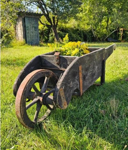 Ancienne brouette début 20e qui roule dans sa patine. belle décoration