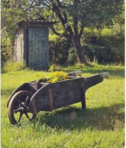 Ancienne brouette début 20e qui roule dans sa patine. belle décoration