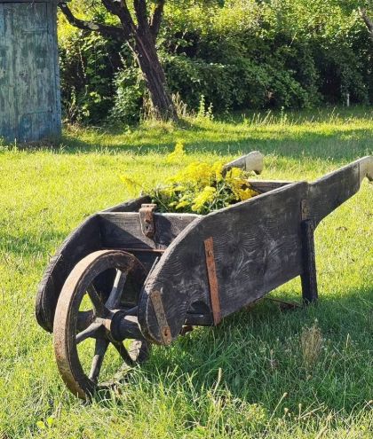 Ancienne brouette début 20e qui roule dans sa patine. belle décoration