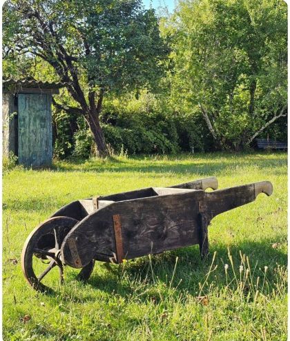 Ancienne brouette début 20e qui roule dans sa patine. belle décoration