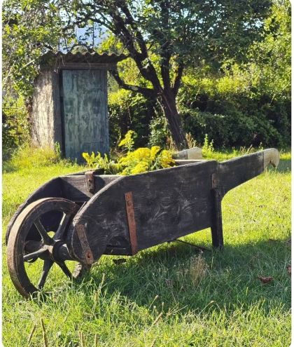 Ancienne brouette début 20e qui roule dans sa patine. belle décoration