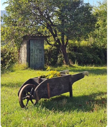 Ancienne brouette début 20e qui roule dans sa patine. belle décoration