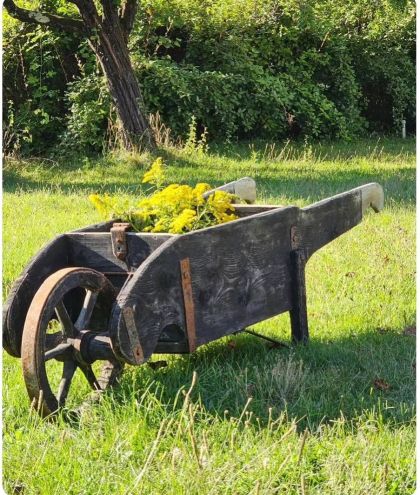 Ancienne brouette début 20e qui roule dans sa patine. belle décoration