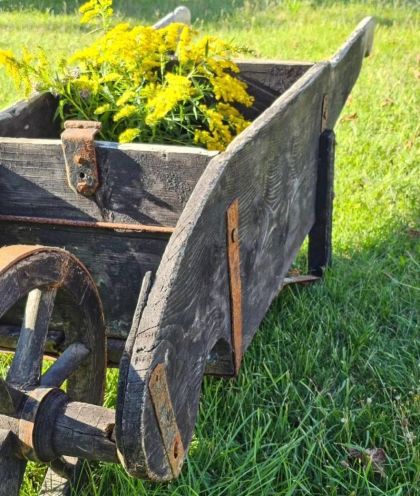 Ancienne brouette début 20e qui roule dans sa patine. belle décoration