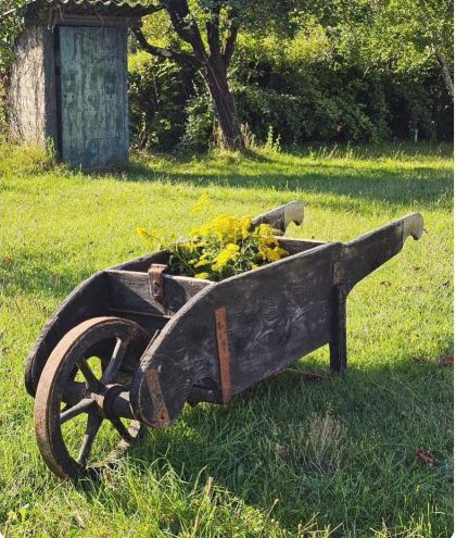 Ancienne brouette début 20e qui roule dans sa patine. belle décoration