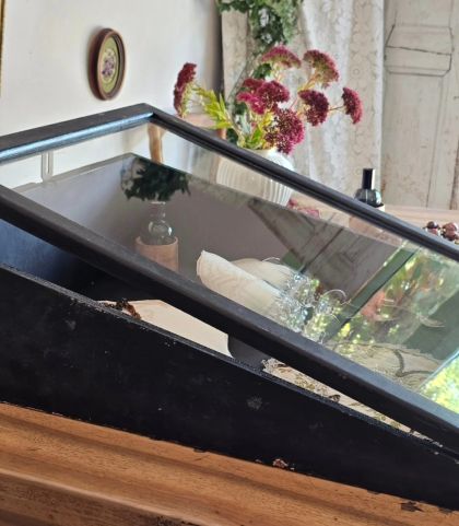 Ancienne vitrine de comptoir patine noire d'origine